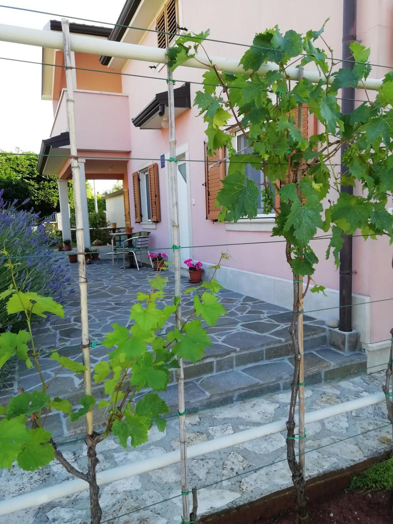 Apartmani Vesna Буйе Экстерьер фото